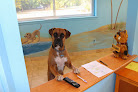 Pet boarding services Pampered Pup Luxury Pet Resort in Millville in Cumberland
