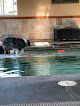 Pet boarding services Paradise Pet Lodge in Woodinville in Washington
