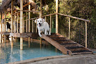 Pet boarding services Paradise Ranch Pet Resort in Sun Valley in CA