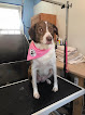 Pet boarding services Park Your Paws Kennels in Wheatfield in Indiana