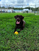 Pet boarding services Parkway Pet Resort in Lakeland in Florida