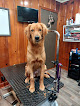 Pet boarding services Patriot's Pet Care in Columbia in Columbia