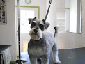 Pet boarding services Paulas Precious Pets Grooming Salon in Idaho Falls in Idaho