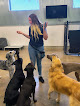 Pet boarding services Paw Commons Pet Resort & Training Center - Gilbert in Gilbert in Arizona