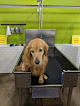 Pet boarding services Paw Paw's Self Serve Dog Wash & Boutique in Salt Lake City in UT