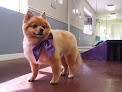 Pet boarding services Paw Petting Llc. in Dundee in FL