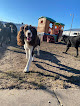 Pet boarding services Paw Printz Inc. in Winter Haven in Florida