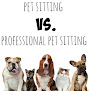 Pet boarding services Paw Sensitive in Lincoln in Nebraska