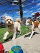 Pet boarding services Paw-a-day Inn in Bowling Green in Warren
