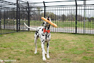 Pet boarding services Pawderosa Ranch in San Antonio in Texas