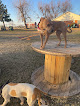 Pet boarding services Pawesome Dog Camp in Tuttle in Oklahoma