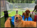 Pet boarding services Pawleys Pawville - Pet Boarding, Daycare, Grooming in Pawleys Island in South Carolina