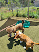 Pet boarding services Pawlife Pet Care in Russellville in Alabama
