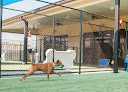 Pet boarding services Pawlins in Jefferson in Louisiana