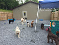 Pet boarding services Pawnal Pets in Pownal in VT