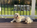 Pet boarding services Pawpals Paradise in Monmouth Junction in NJ