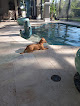 Pet boarding services Pawprints Of Vero Beach in Vero Beach in Indian River