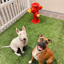 Pet boarding services Paws And Claws Pet Resort in Bakersfield in California
