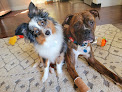 Pet boarding services Paws By The Lake in Guntersville in Alabama