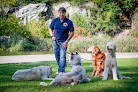 Pet boarding services Paws Country Club in New York in Manhattan