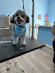 Pet boarding services Paws Inn Pet Grooming in Fresno in CA