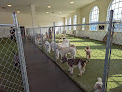 Pet boarding services Paws Pet N' Play in Daly City in California