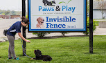 Pet boarding services Paws & Play Dog Resort & Training Center in Fishers in IN