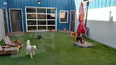 Pet boarding services Paws & Play Pet Resort in Midland in TX