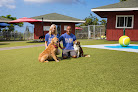 Pet boarding services Paws University in Kailua-Kona in HI
