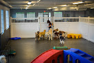 Pet boarding services Paws Unleashed in Woodbury in MN