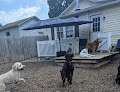 Pet boarding services Paws 'n Play The Dogs House in Forest in Virginia