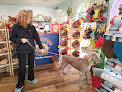 Pet boarding services Paws 'n' Rec - Fayetteville in Fayetteville in Arkansas