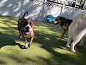 Pet boarding services Paws 'n' Rec - Pearl in Tampa in FL