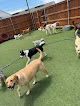 Pet boarding services Paws@play in Moore in Oklahoma