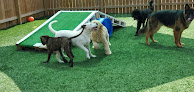 Pet boarding services Pawsh Park in North Little Rock in Arkansas