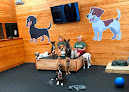 Pet boarding services Pawtown Pet Boarding in Spring in Texas
