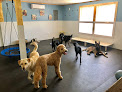 Pet boarding services Pawz Lodge Dog Daycare & Boarding in Turner in Maine