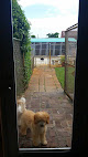 Pet boarding services Peace Of Mind Pet Resort (previously Known As Bobbi’s World Kennels) in Fort Lauderdale in FL