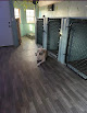 Pet boarding services Peanuts Pampered Pet Care in Brush Creek in Smith
