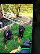 Pet boarding services Pendleton Pens Pet Resort in Pendleton in Indiana