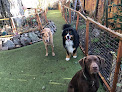 Pet boarding services Personal & Pet Concierge Llc in Tacoma in Pierce