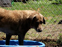 Pet boarding services Pet B&b Llc in Heathsville in Virginia