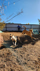 Pet boarding services Pet Bnd Abq in Albuquerque in Bernalillo
