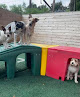 Pet boarding services Pet Castle Resort in Langhorne in PA