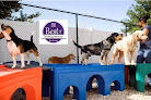 Pet boarding services Pet Dominion in Rockville in Maryland