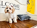 Pet boarding services Pet Haven Cottages & Resort in Reedley in California