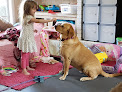 Pet boarding services Pet Haven Llc in Brandon in Mississippi