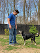 Pet boarding services Pet Lodge And Day Spa in River Vale in NJ