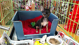 Pet boarding services Pet Lovers Pet Shop And Grooming in Mustang in Oklahoma