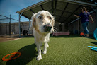 Pet boarding services Pet Palace - Cary in Cary in Wake